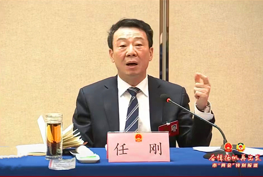 任刚参加费县代表团审议